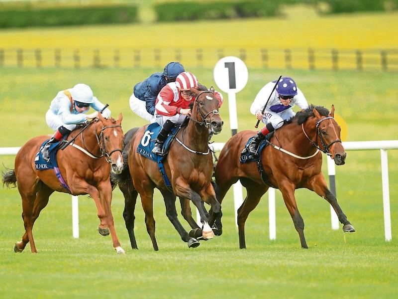 Fun for all the family at today's race day at Naas Racecourse