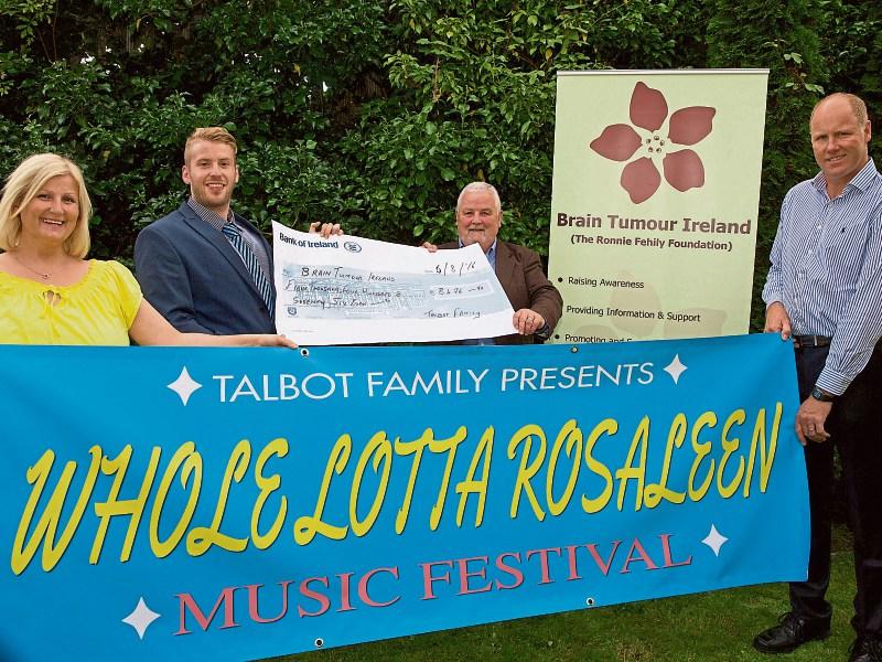 Music Festival in Kill raising funds for childhood cancer treatment