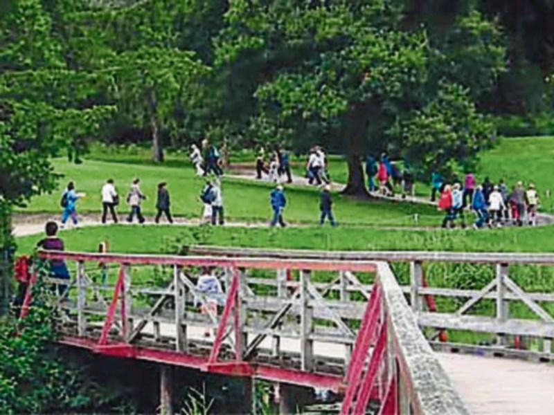 Plenty planned for Kildare's Walking Festival