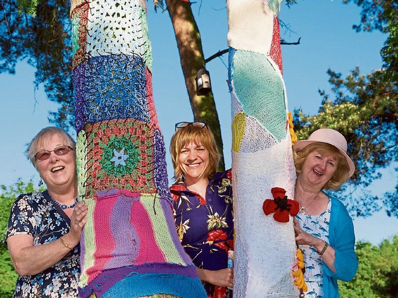 Kildare Yarn Bombers holding outdoor classes