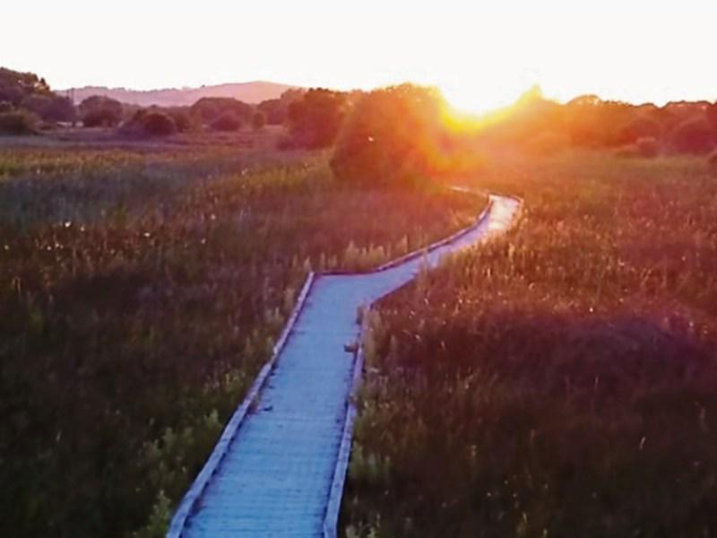 WATCH: Video captures stunning sunset at Kildare's Pollardstown Fen