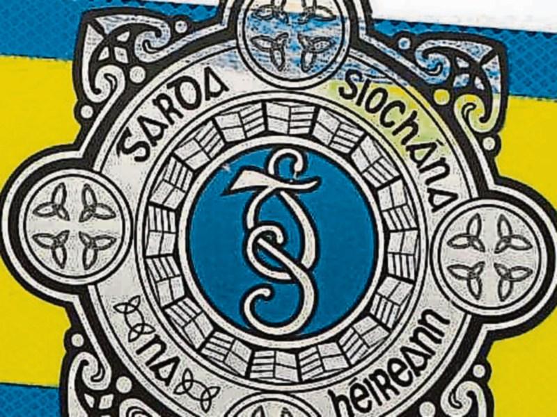 Gardai recover stolen jewellery in Rathcoffey
