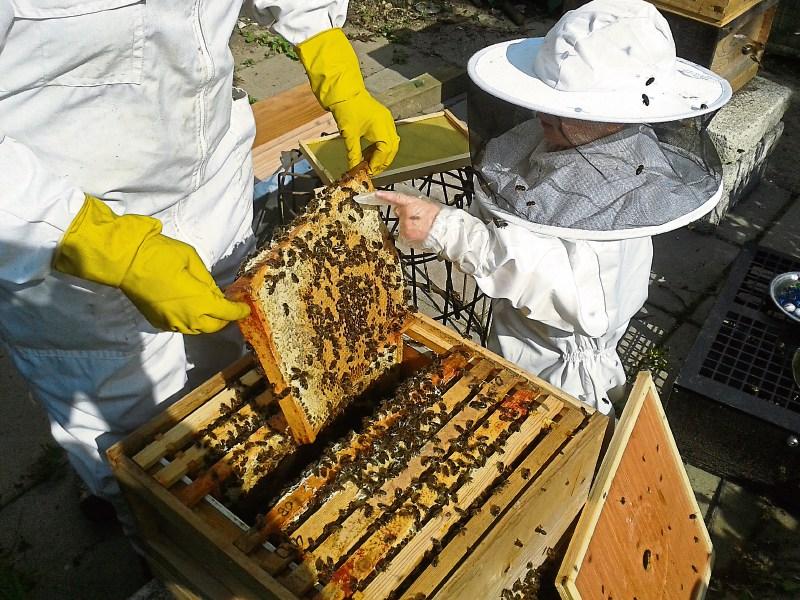 &euro;908,000 allocated to Kildare environmental groups