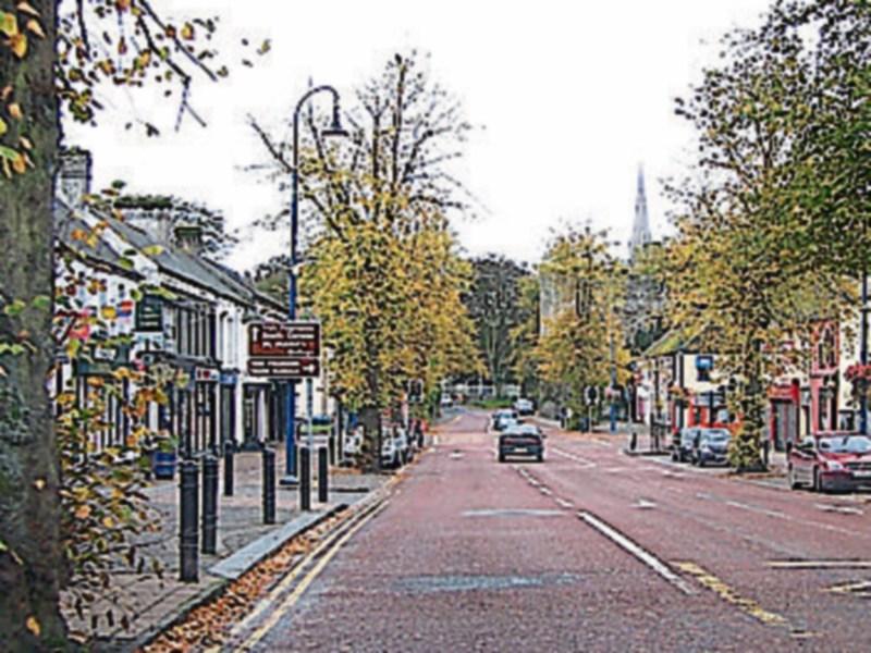 Young people in Maynooth using bushes as a toilet as council opposes  public conveniences