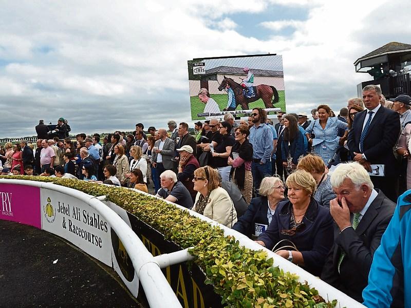 New family enclosure to be launched at the Curragh  Racecourse