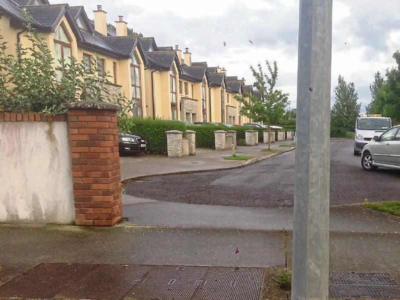 Naas residents fear child could be knocked down at estate entrance