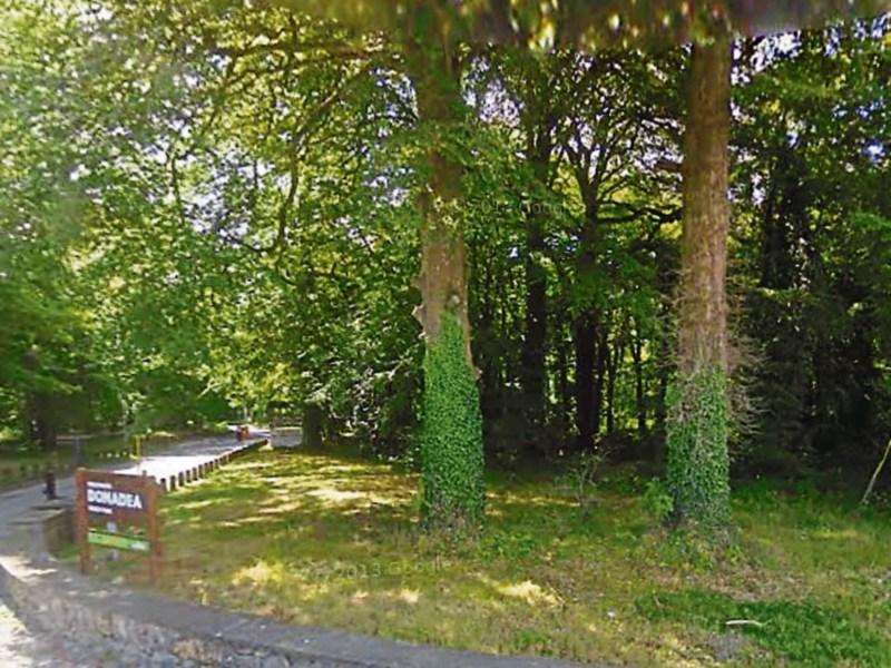 Donadea Forest car park to remain closed for weeks