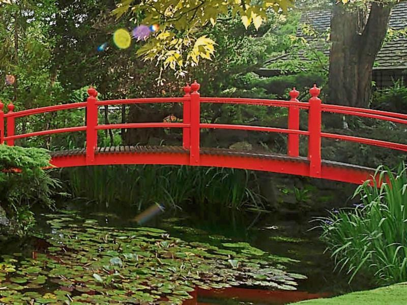 Popular Italian travel show filming in Kildare town this week