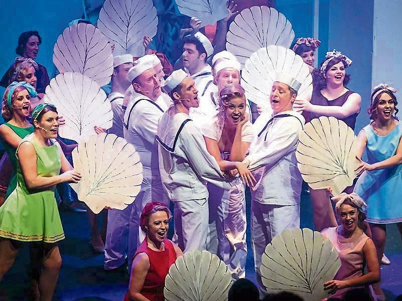 Naas Musical Society seeks volunteers