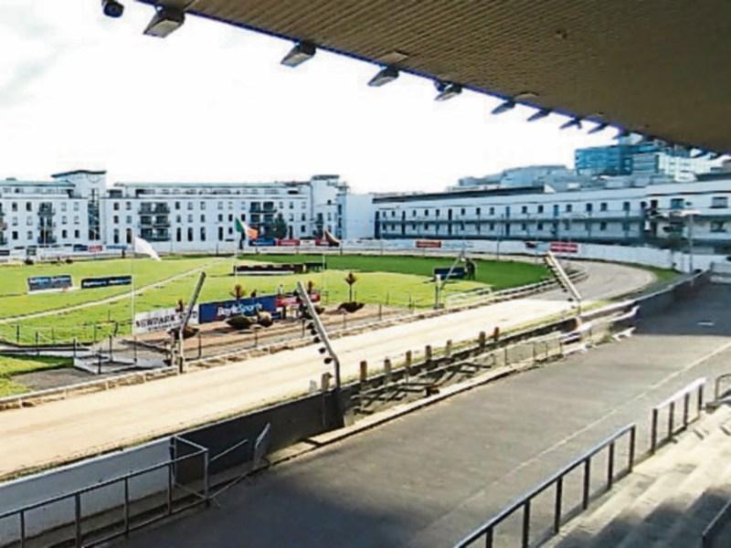 Five of Kildare's best greyhounds into second round of BoyleSports Irish Greyhound Derby 