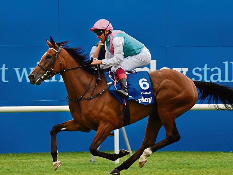 Rose of Curragh competition at Curragh Racecourse this Sunday