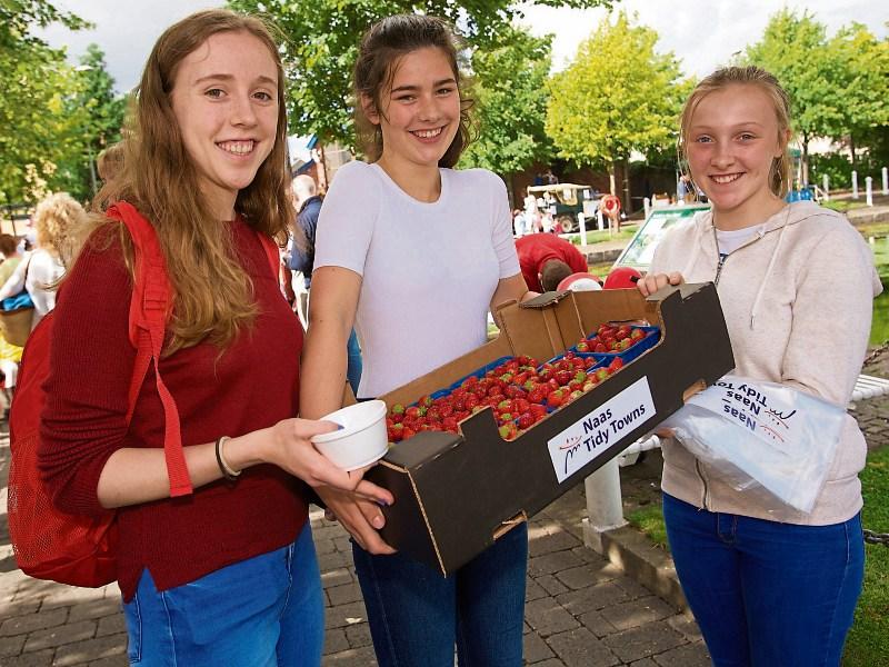 Naas Wild Food Festival takes place next month