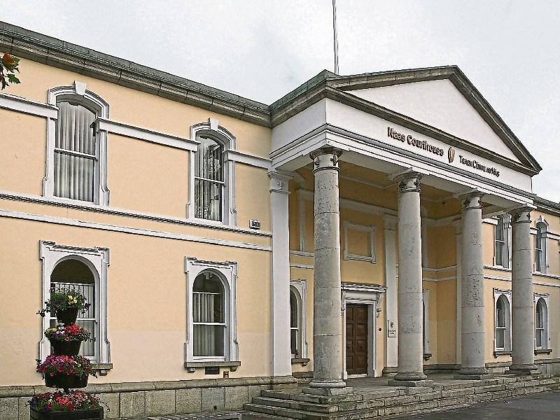 Kildare vet supplied animal remedy not in accordance with regulations