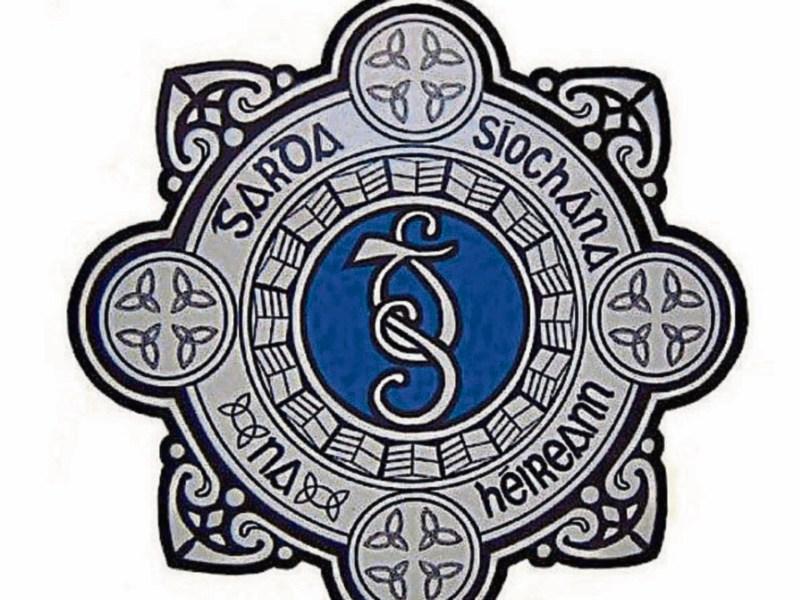 Kildare Garda numbers rise sharply