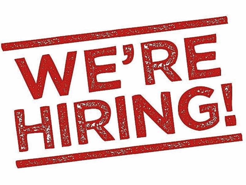 Jobs Alert: Office position available at well-known Kildare stud farm