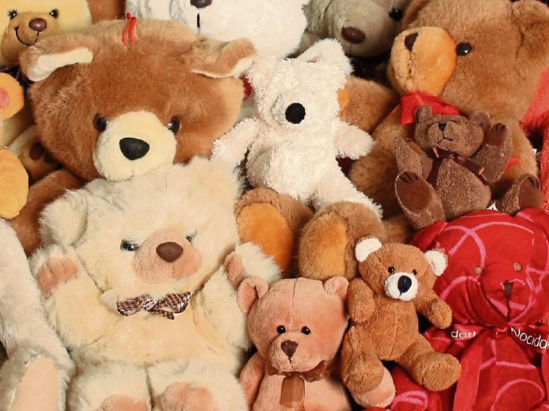 I've no idea what Teddybears get up to at night, admits Kildare artist