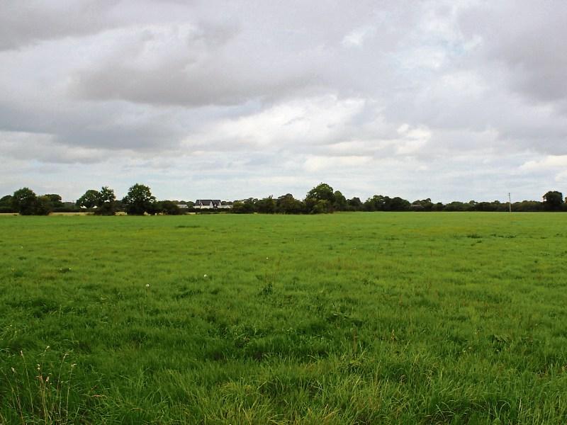 Kildare land for sale in Naas