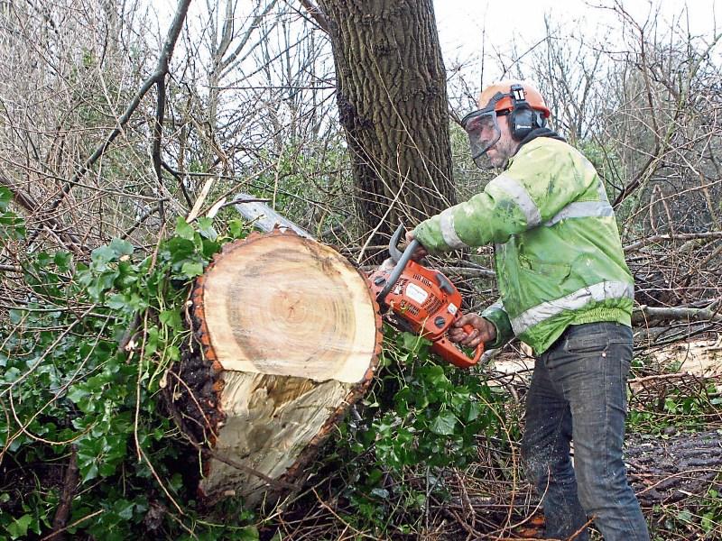 Kildare County Council tell public stay indoors, leave it to professionals