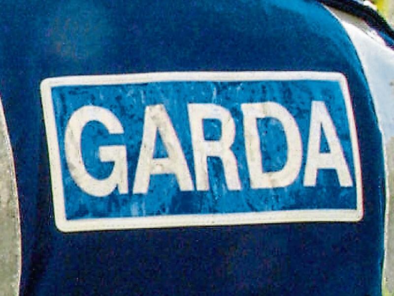 Two new gardai to patrol Naas' Monread area