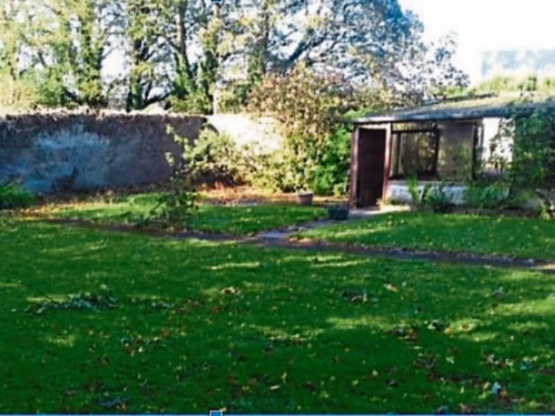 Community spirit to drive Kildare town's Eve Sensory Garden project