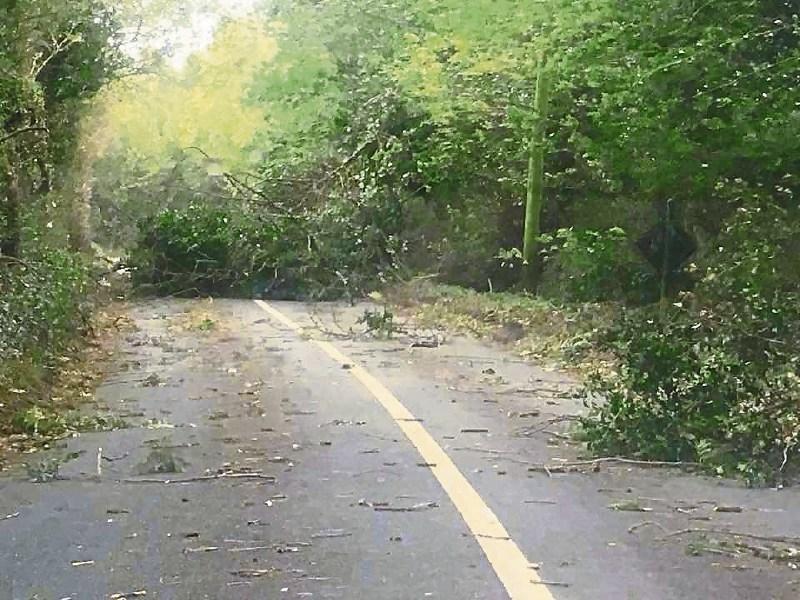 How a good loss assessor can increase your Hurricane Ophelia storm damage claim