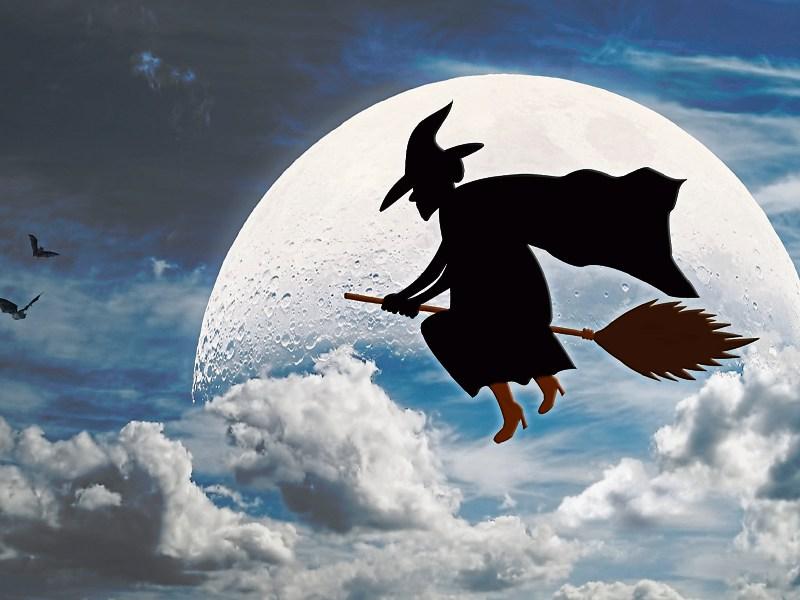 Naas secondary school pupils are going batty for Hallowe'en