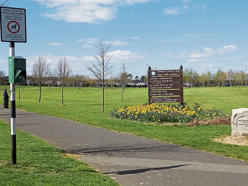 No money to upgrade lights in Monread Park, Naas
