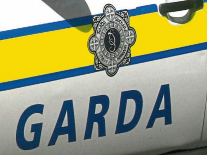 Shotgun stolen during burglary at Curragh house