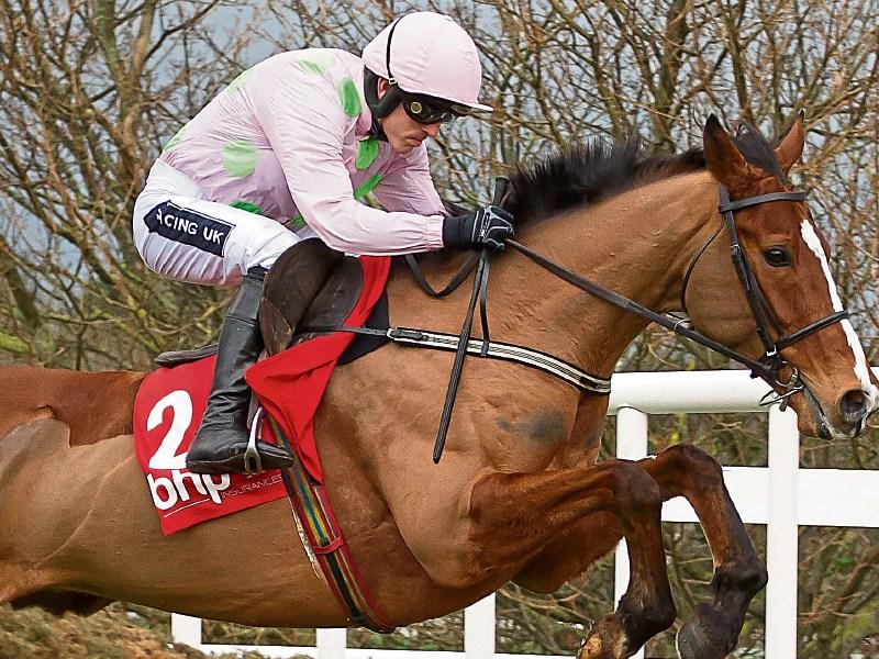 Cheltenham Festival Tips: Thursday's top picks