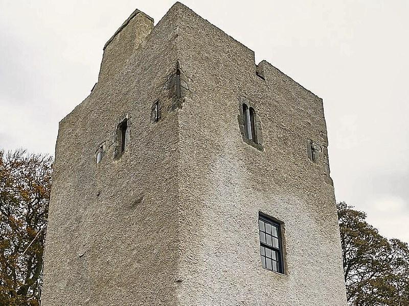 Original 14 stone sash windows installed in Kildare castle