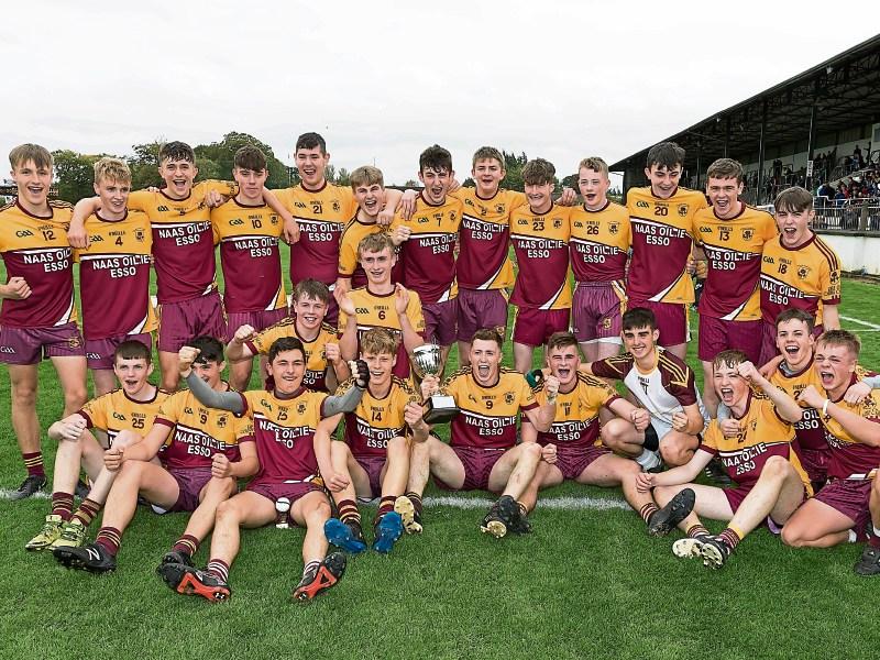 Kildare hurling club to host night at the dogs fundraiser