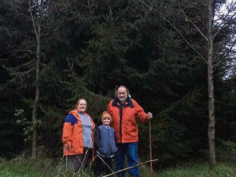 Selecting this year's Christmas Tree for Kildare town Kildare Live