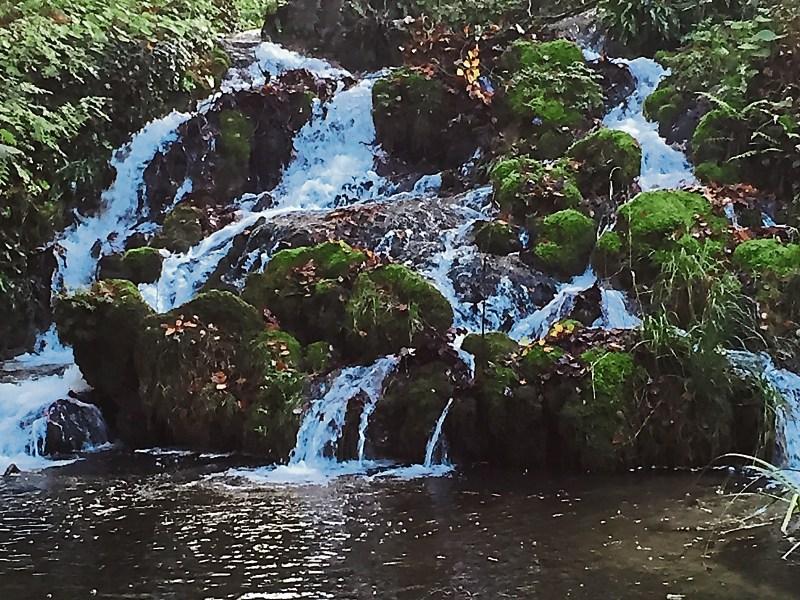Kildare gardens opening delay