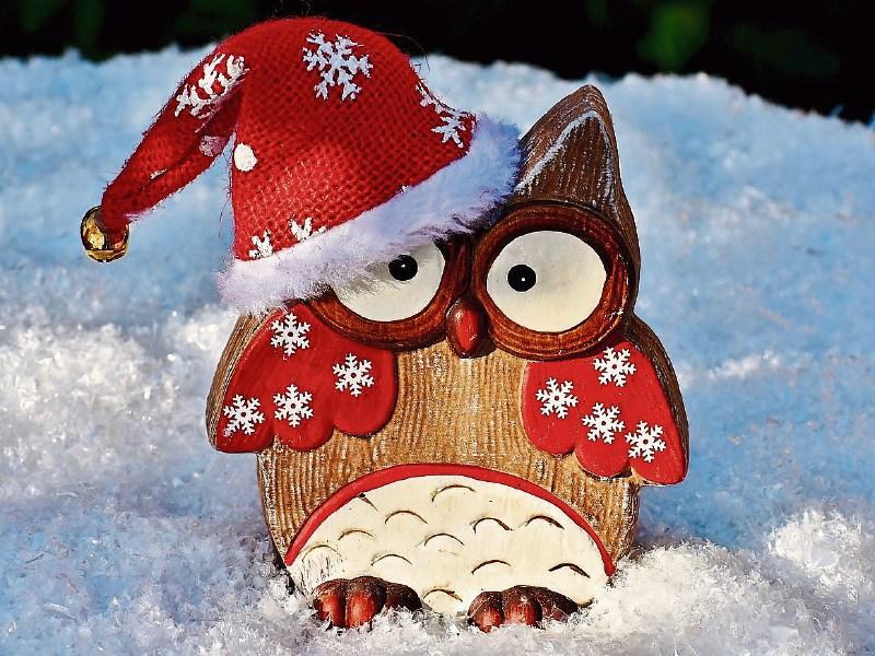 Stop here for Christmas in Kildare!