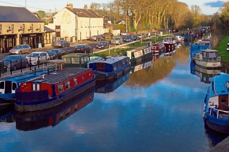 Sallins residents fearful of falling trees