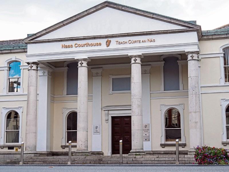 Hefty fines for Kildare vet following animal medication convictions