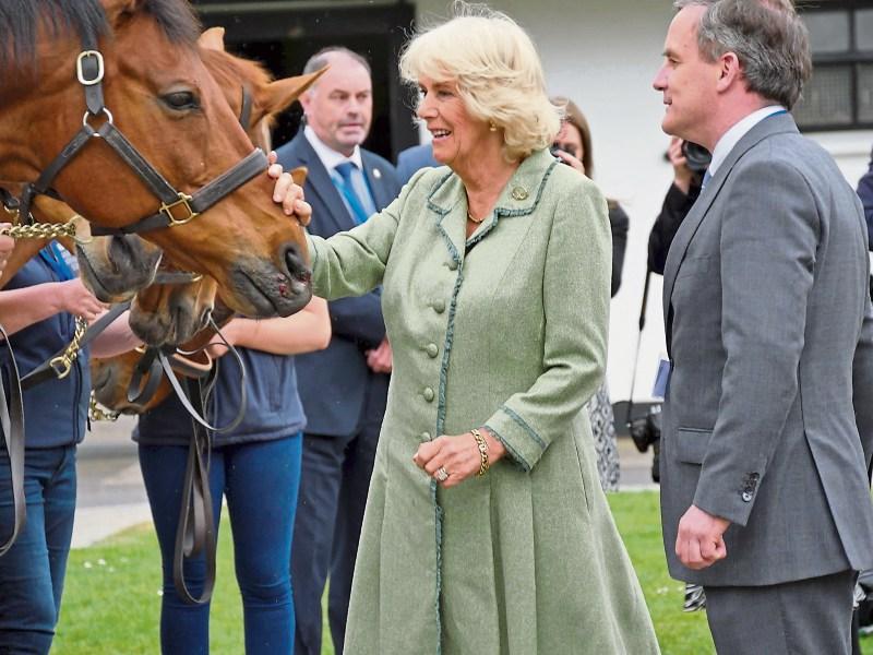 The best of 2017: Prince Charles and Camilla visit Kildare