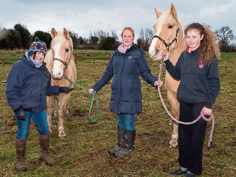 Naas students aren't just horsing around