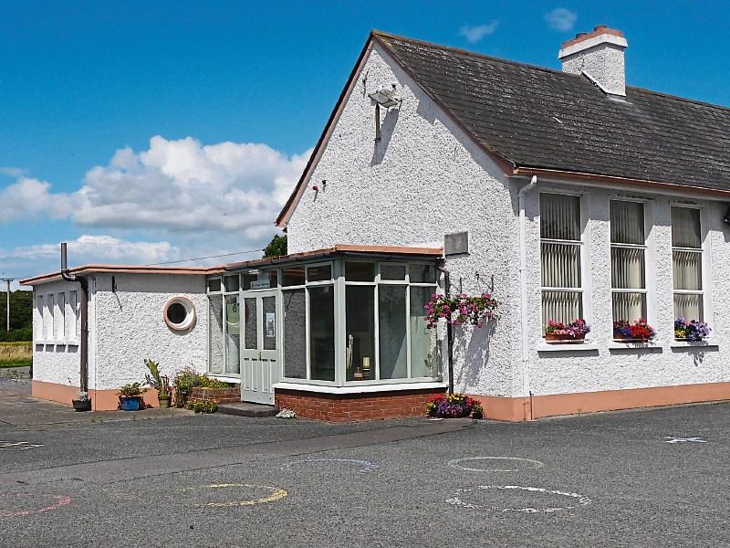 Kildare Christmas tree recycling plan at Ardclough Kildare Live