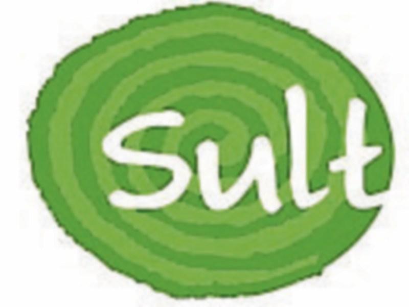 Brush up your Irish in Sallins this January
