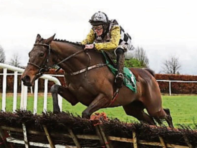 Grade 1 Novice Hurdle looks real competitivie affair at Naas on Sunday