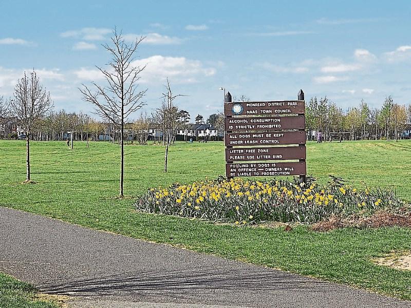 No upgrade at Monread Park, Naas for at least a year 