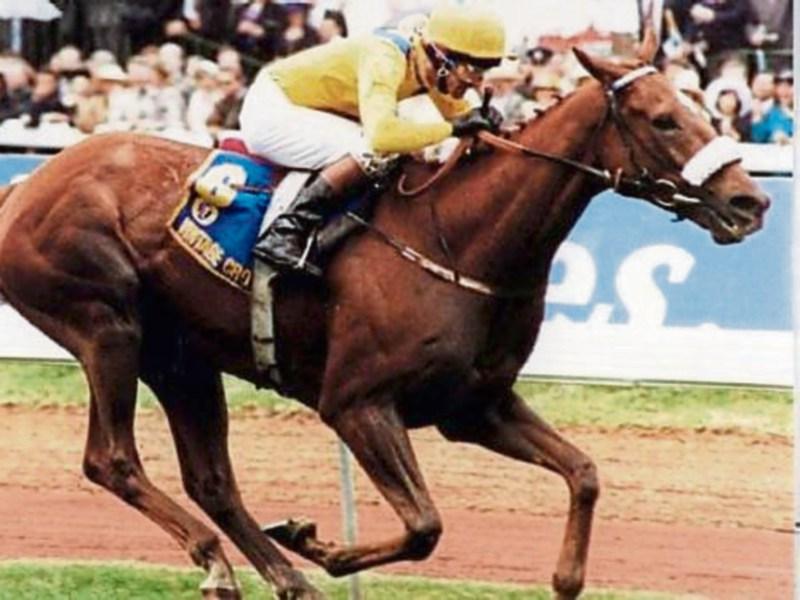 Dermot Weld and Vintage Crop make history with Melbourne Cup victory