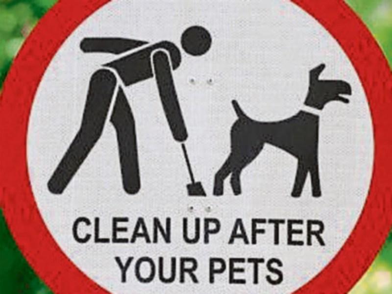 Kildare County Council clarifies recent figures relating to dog litter fines