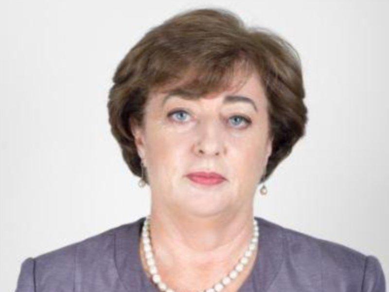 Dart extension to Kilcock not in current plans Kildare TD told