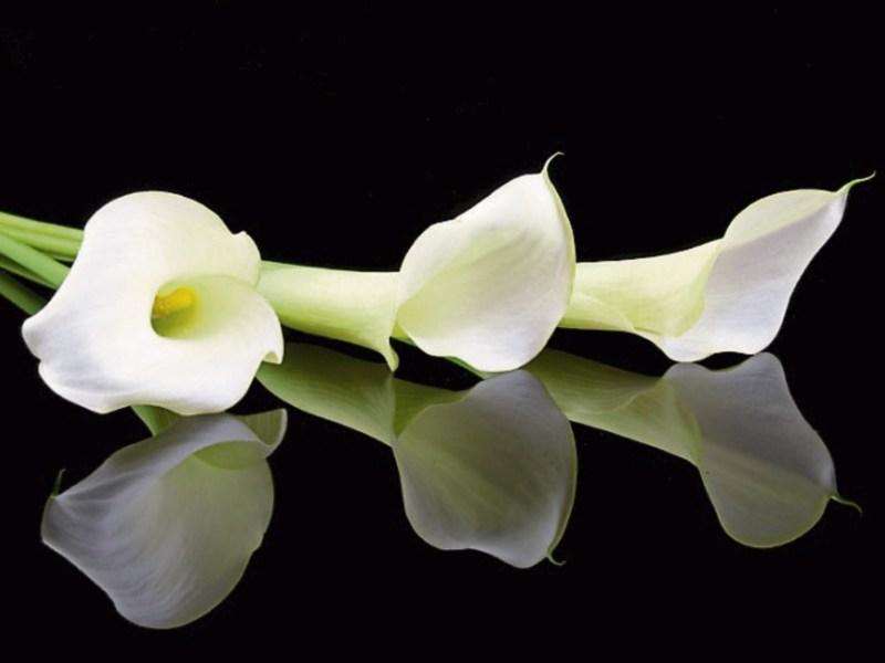 Deaths in Kildare - February 2, 2018