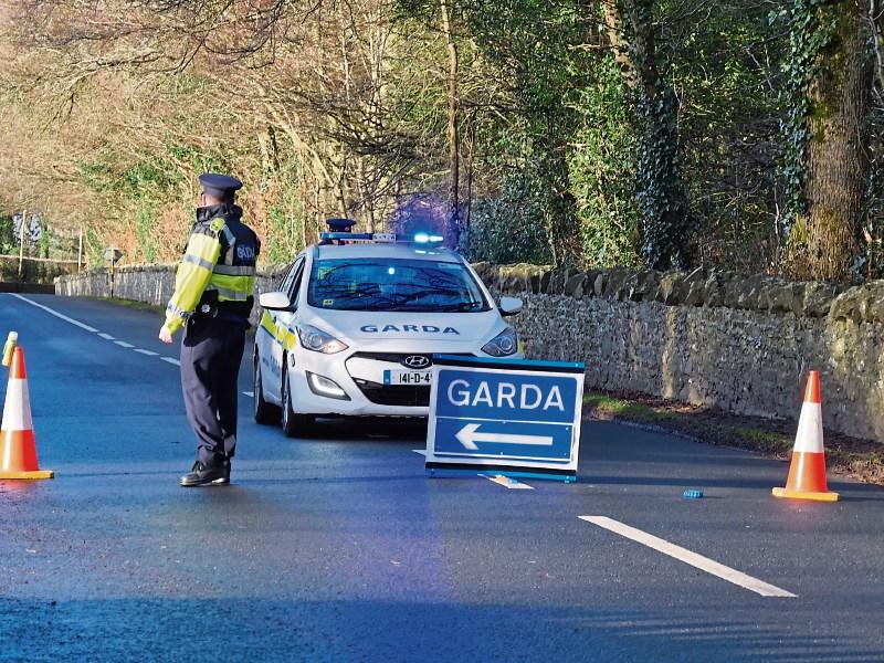 Three-year-old girl dies after Kildare road crash