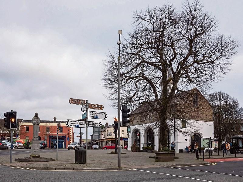 Council plans for new urban park in Kildare town go on display
