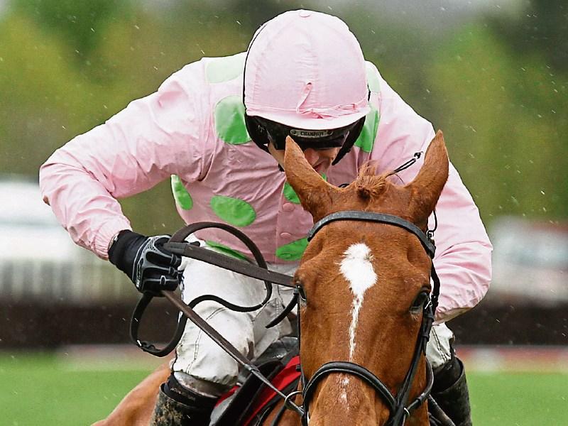 Cheltenham: Ruby Walsh injury thought not as serious as previously feared