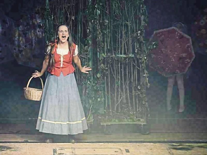 Full house for LARK's opening night in Kildare town